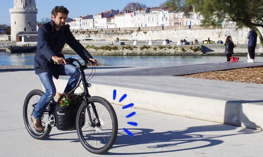 HUPPE : des vélos cargos hors du commun ! - VIRVOLT