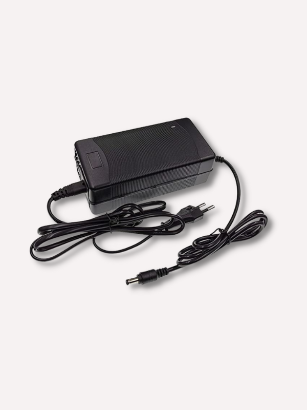 Chargeur Vélo électrique BMZ 36V 3A - Pour FOCUS Aventura Impulse S10 - NEUF