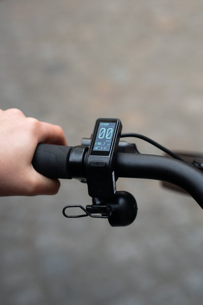 Écran Compact - Noir et Blanc - VIRVOLT